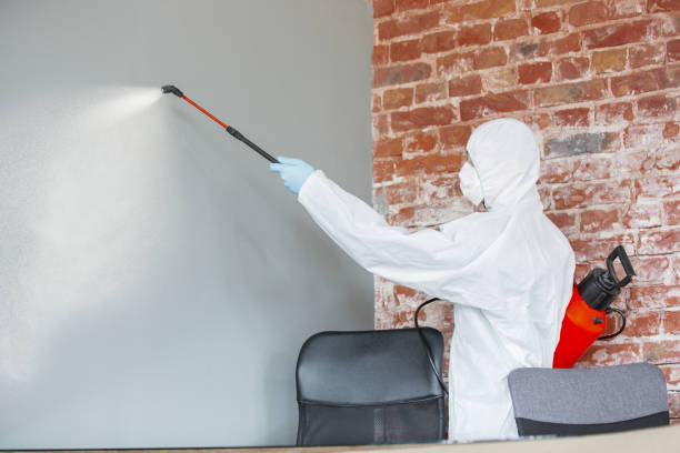Best Commercial Mold Inspection  in Konterra, MD