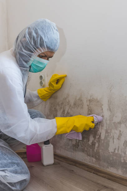 Best Air Quality Testing for Mold Spores  in Konterra, MD