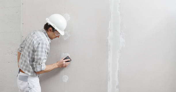 Reliable Konterra, MD Mold Removal Solutions