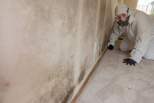 Best Biohazard Mold Removal  in Konterra, MD